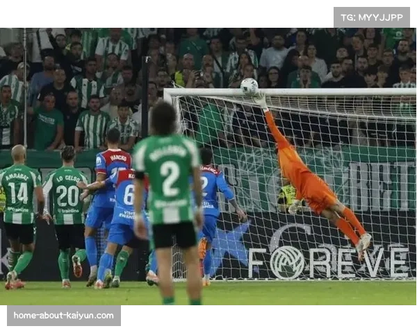 奥布拉克扑救技术分析 马竞防线最后一道屏障